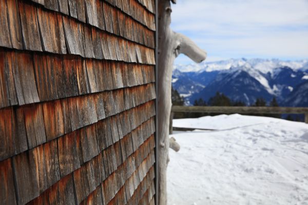 Cost of Cedar Siding Repair in Herndon