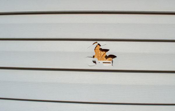 Cost of Siding Hole Patching in Herndon