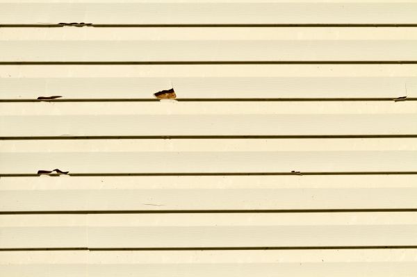 Siding Puncture Repair