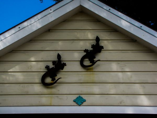 Cost of Shiplap Siding Installation in Herndon